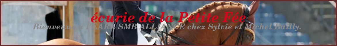 écurie de la Petite Fée